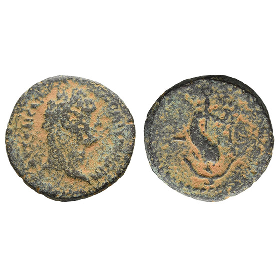 Domitian AE Obol of Alexandria, Egypt.