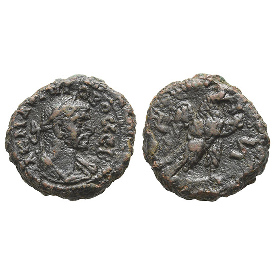 Probus BI Tetradrachm of Alexandria, Egypt.