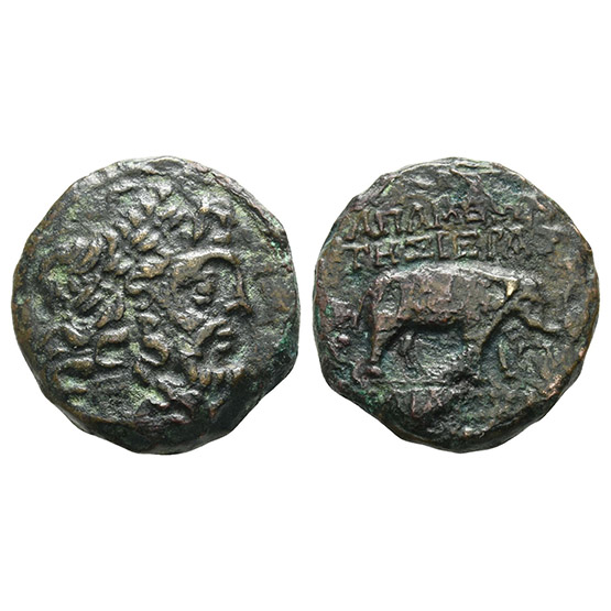 Seleucis and Pieria, Apameia AE 20mm.