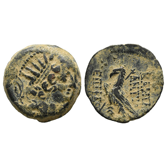 Seleukid Empire, Antiochos VIII Epiphanes (Grypos) AE 19mm.