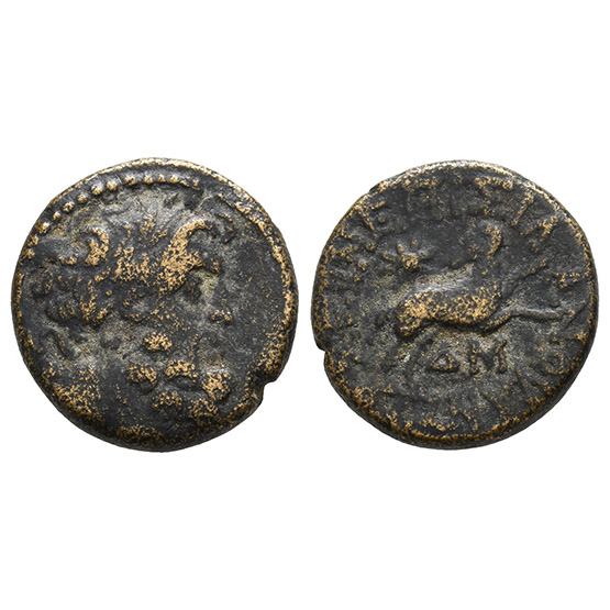 Seleucis and Pieria, Antioch AE 20mm.
