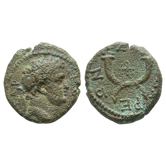 Titus, as Caesar, AE 16mm of Gadara, Decapolis.