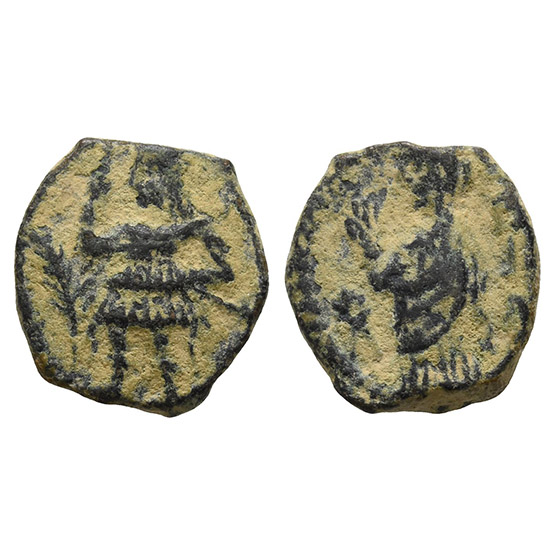 Nabataea, Aretas IV, with Shaqilat AE 14mm.