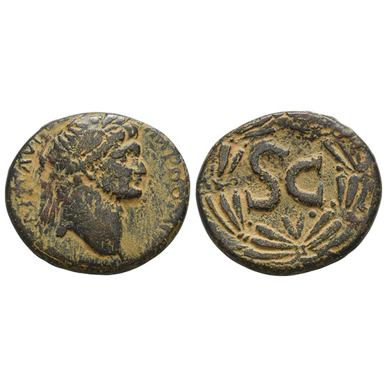Domitian AE 28mm of Antioch, Seleucia and Pieria.