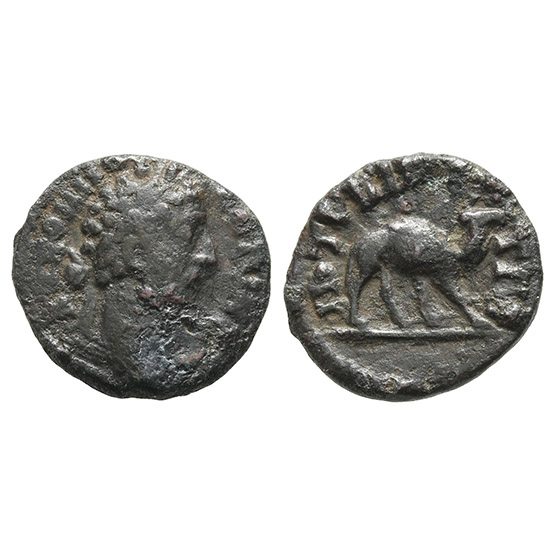 Commodus AE 16mm of Bostra, Arabia.