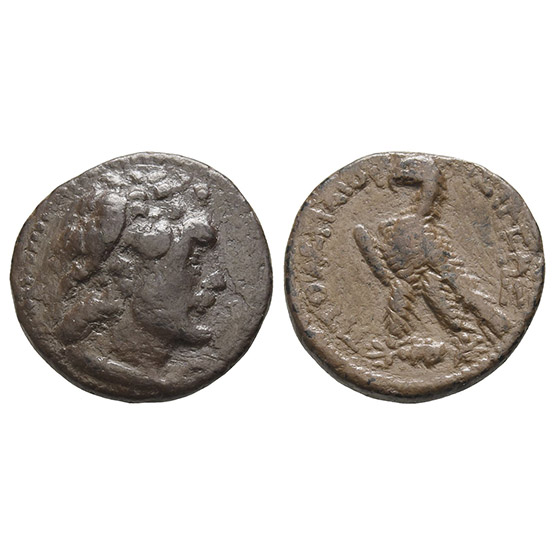 Ptolemaic Kingdom of Egypt, Ptolemy VI Philometor AR Didrachm.