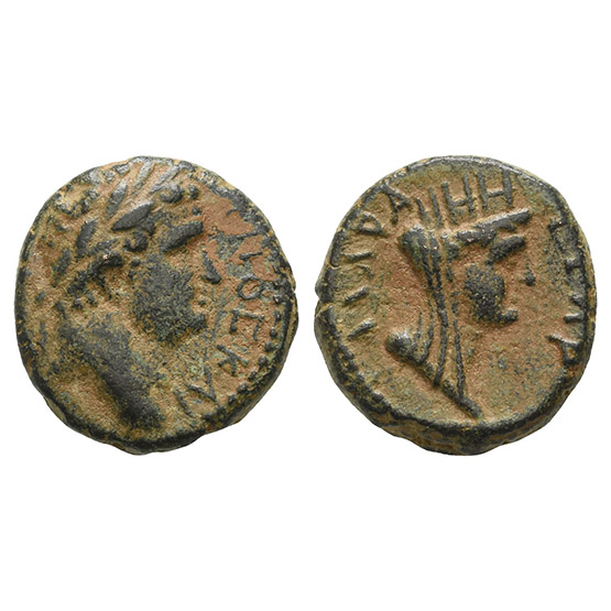 Titus, as Caesar AE 16mm of Gadara, Decapolis.