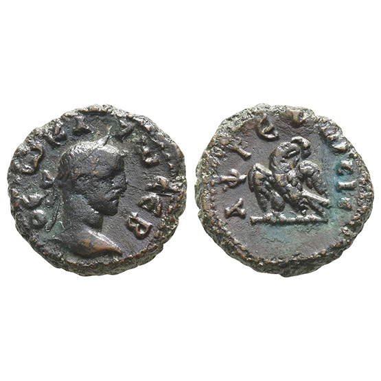 Divus Carus BI Tetradrachm of Alexandria, Egypt.