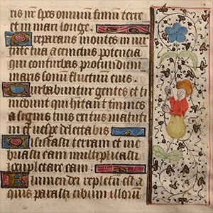Illuminated Medieval Book of Hours Manuscript Page