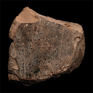Western Asiatic Cuneiform Tablet Fragment