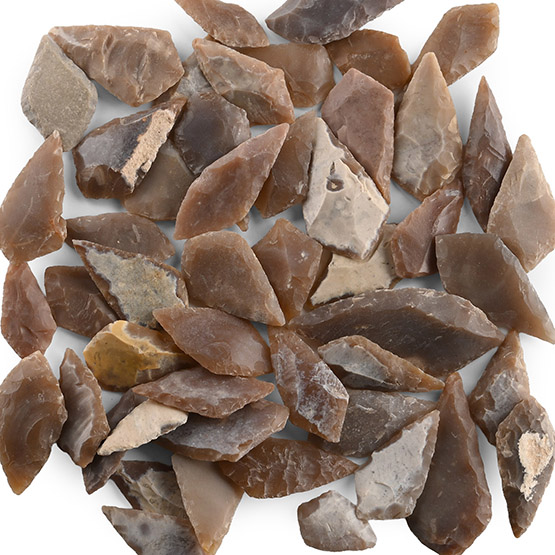 Stone Age Lozenge-Shaped Arrowhead Collection