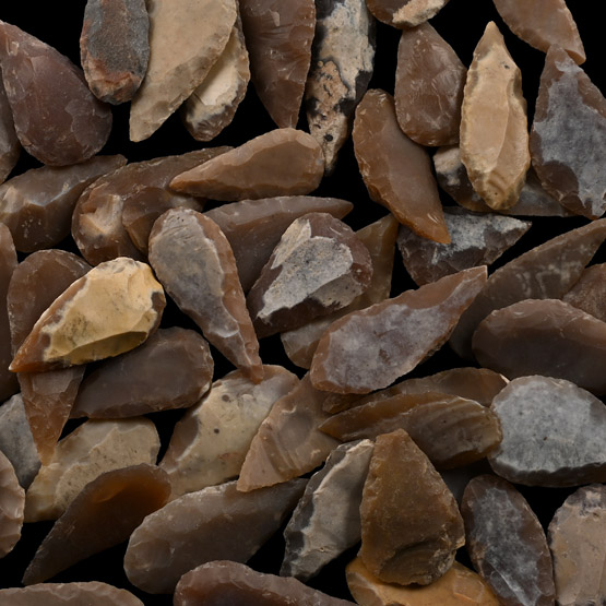 Stone Age Leaf-Shaped Arrowhead Collection