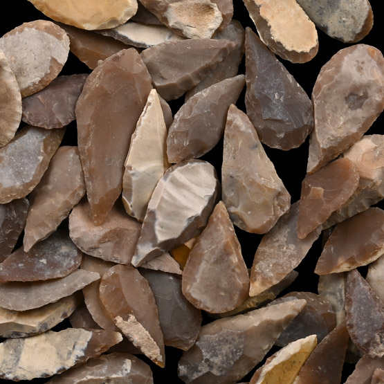 Stone Age Leaf-Shaped Arrowhead Collection