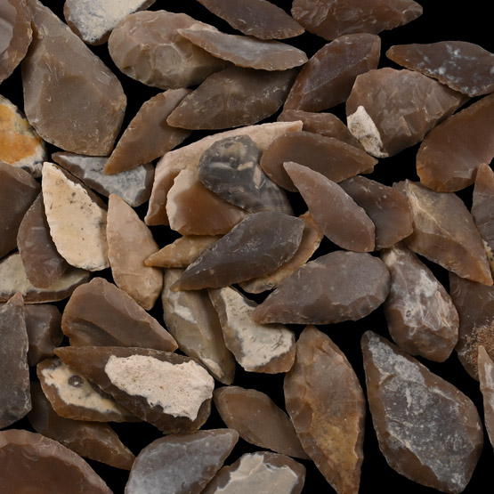 Stone Age Leaf-Shaped Arrowhead Collection