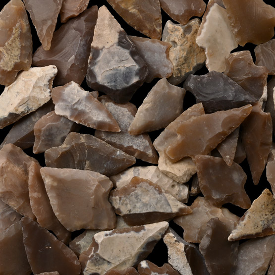 Stone Age Barbed and Tanged Arrowhead Collection