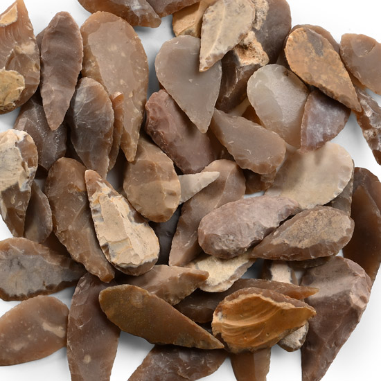 Stone Age Leaf-Shaped Arrowhead Collection