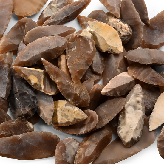 Stone Age Leaf-Shaped Arrowhead Collection