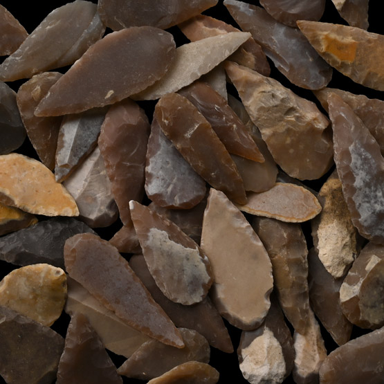 Stone Age Leaf-Shaped Arrowhead Collection
