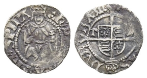 England. Tudor, Henry VIII AR Penny.