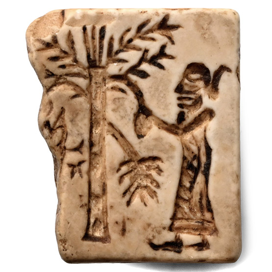 Babylonian Faience Frog Amulet