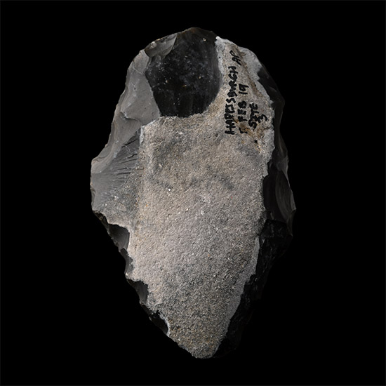 Stone Age Homo Heidelbergensis Flint Handaxe from Happisburgh