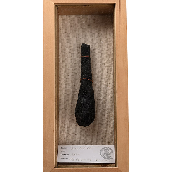 Meteorite Crater Tektite Specimen