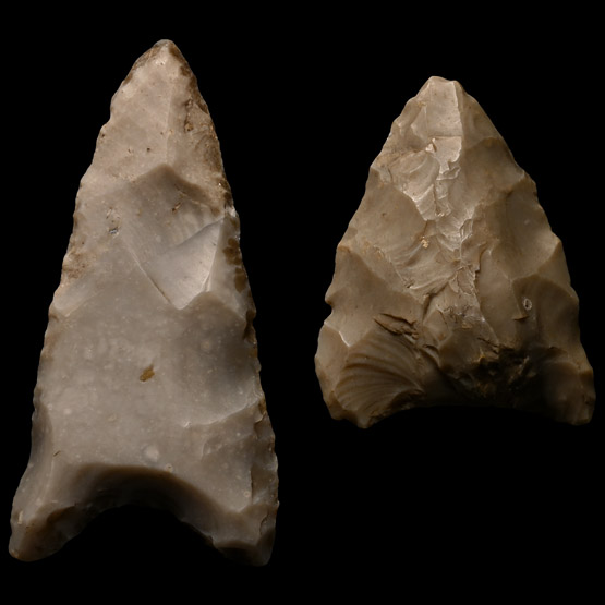 Large European Stone Age Arrowhead Group
