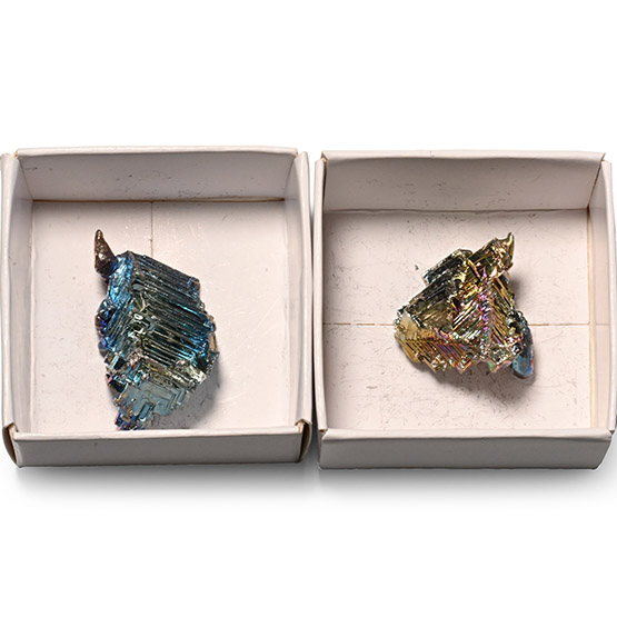 Bismuth Specimen Pair