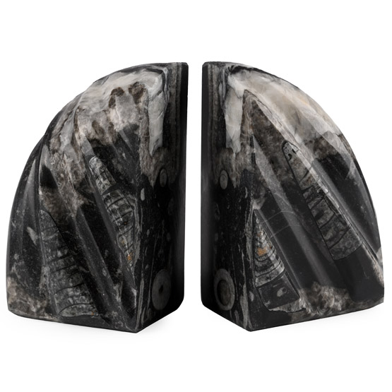 Polished Fossil Orthoceras Bookend Pair