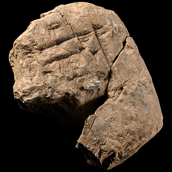 Mesopotamian Cuneiform Tablet Fragment