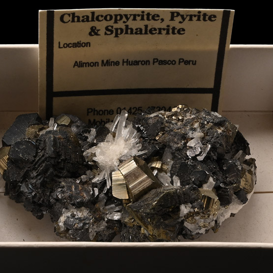Chalcopyrite, Pyrite and Sphalerite Crystal Mineral Specimen