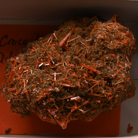 Crocoite Crystal Mineral Specimen