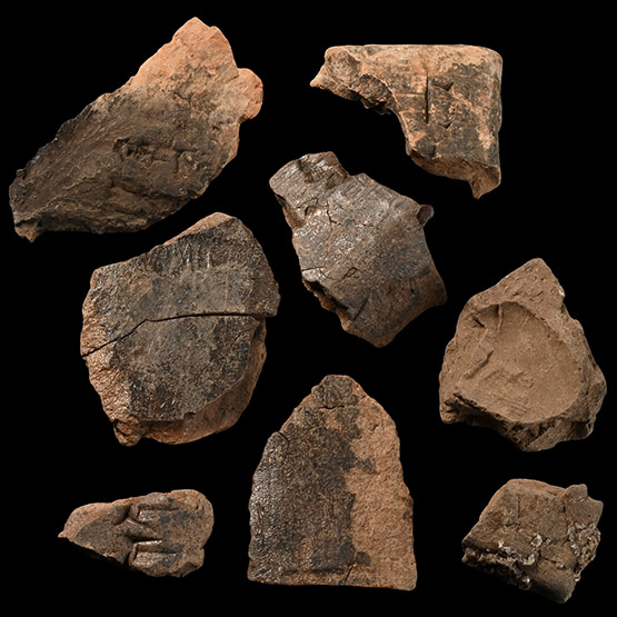 Mesopotamian Cuneiform Envelope Fragment Group