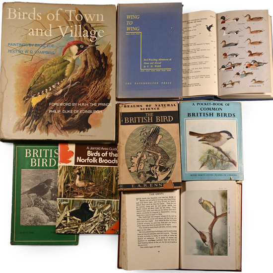 Books on Birds - 8 Titles