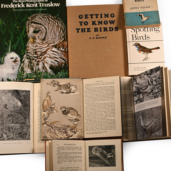 Books on Birds - 8 Titles