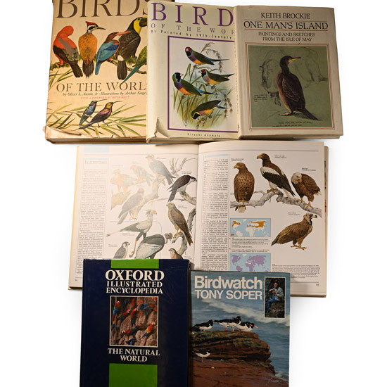 Books on Birds - 6 Titles
