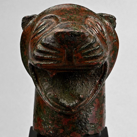 Etruscan Bronze Lion Head