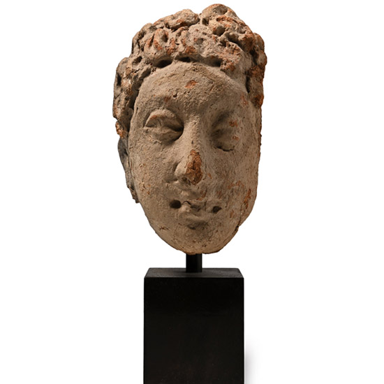 Gandharan Terracotta Buddha Head