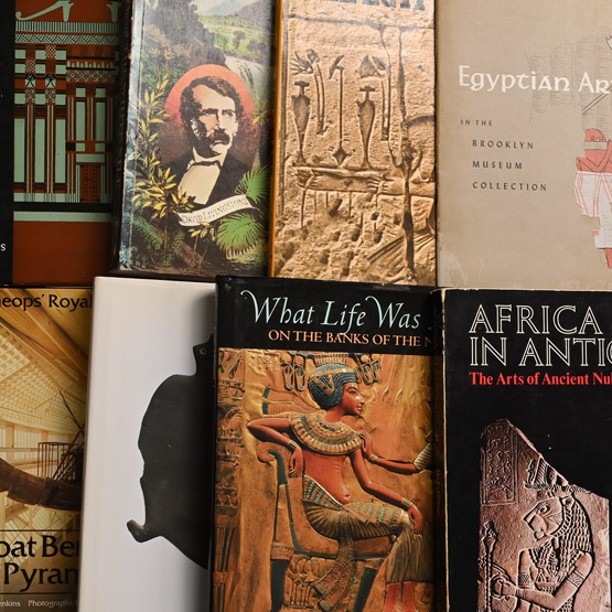 Books on Ancient Egypt, Africa in Antiquity and Egyptology - 8 Titles