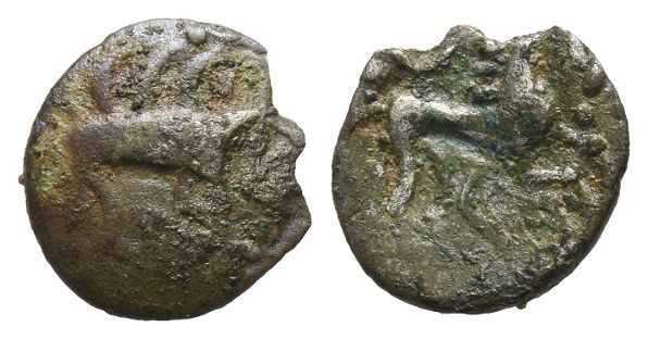 Celtic Britannia. Iceni AR Unit.