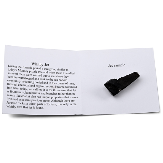 Whitby Jet Sample with Printed Information Card