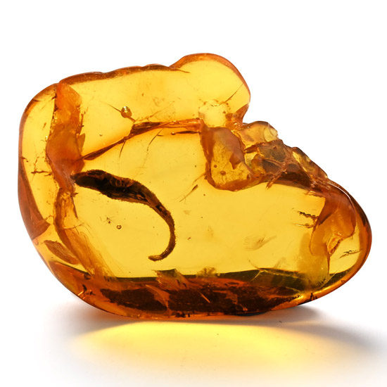 Polished Amber with Inclusion