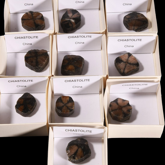 Chiastolite Polished Mineral Specimen Collection