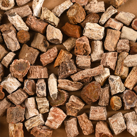 A Group of Ninety Two [92] Fossil Wood Specimens