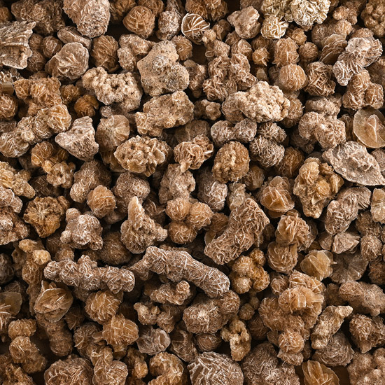 A Very Large Group of Medium Desert Rose Specimens