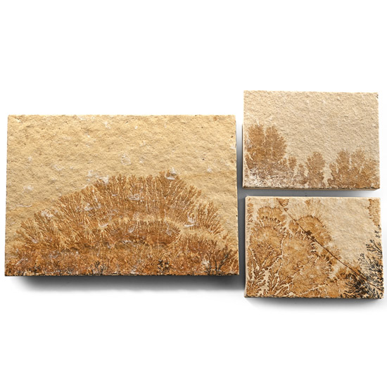 Manganese Dendrite Landscape Plaque Group