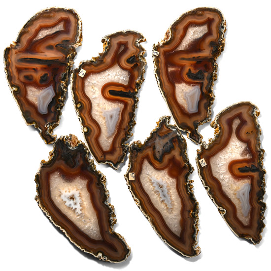 Cut and Polished Agate Geode Slice Group