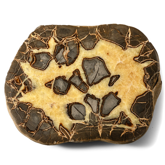 Massive Cut and Polished Septarian Egg Half