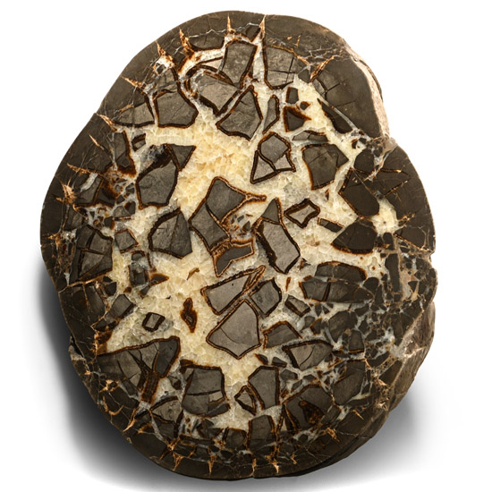 Extremely Large Cut and Polished Septarian Egg Half