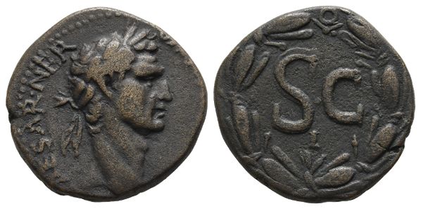Nerva AE 26mm of Antioch, Seleucis and Pieria.